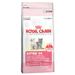 Royal Canin Kitten