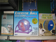 Small Pet Accessories