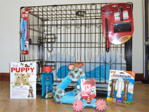 puppy crate blue