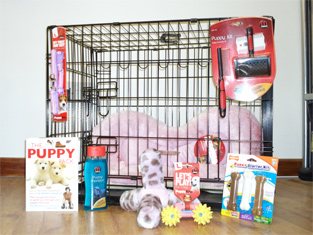 puppy crate pink