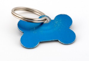 dog tag