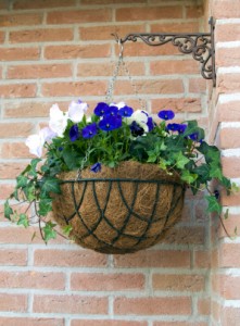 hanging basket