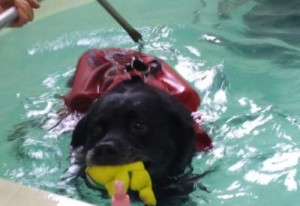 Woody Hydrotherapy 1_