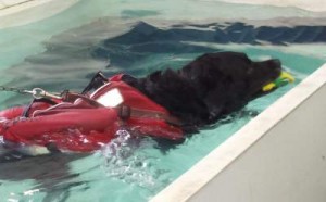 Woody Hydrotherapy 2_