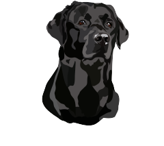 ET Lumley Garden & Pet Supplies