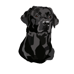ET Lumley Garden & Pet Supplies
